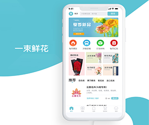 泸州苹果APP开发基础电商系统用科技创造价值，为您提供全方位解决方案【大促期限时，速度下单】